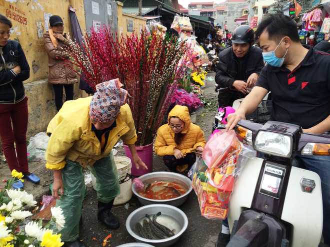 Tiểu thương bán cá chép đỏ dửng dưng 'hét giá'' ngày ông Công, ông Táo ảnh 2