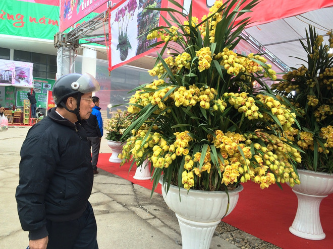 Dưa hấu 3 trong 1 chạm trổ “lạ,” công phu thu hút người mua chơi Tết ảnh 4