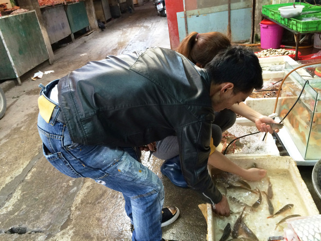 Tiểu thương bán cá chép đỏ dửng dưng 'hét giá'' ngày ông Công, ông Táo ảnh 4