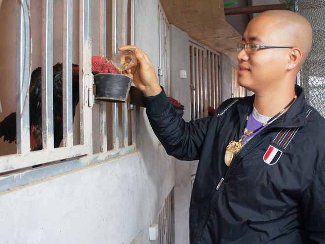 Thú chơi gà chọi “trăm triệu” của chàng trai Hà thành ảnh 2