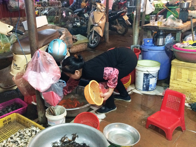 Náo nhiệt chợ ngày ông Công, ông Táo: Cá chép đỏ "lên ngôi" ảnh 1