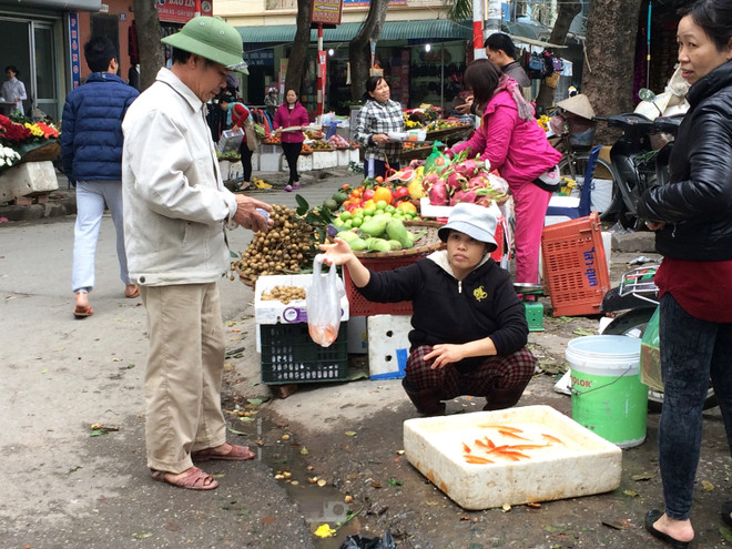 Tiểu thương bán cá chép đỏ dửng dưng 'hét giá'' ngày ông Công, ông Táo ảnh 8