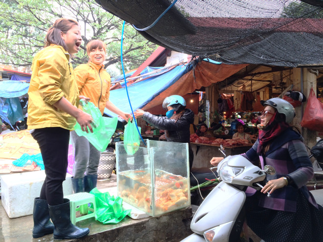 Tiểu thương bán cá chép đỏ dửng dưng 'hét giá'' ngày ông Công, ông Táo ảnh 5