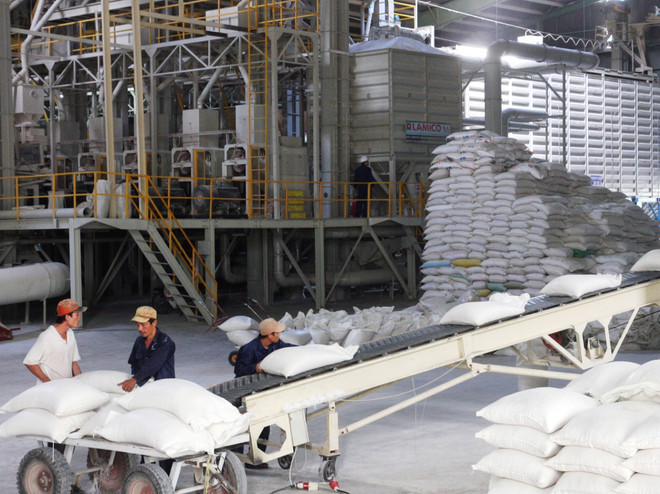 Tài trợ hơn 6,7 triệu bảng Anh cho phát triển lúa gạo bền vững ảnh 1