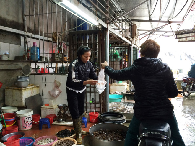 Tiểu thương bán cá chép đỏ dửng dưng 'hét giá'' ngày ông Công, ông Táo ảnh 9