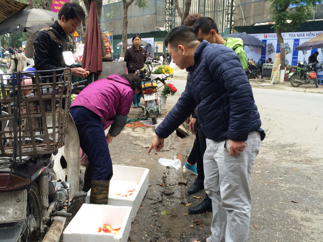 Tiểu thương bán cá chép đỏ dửng dưng 'hét giá'' ngày ông Công, ông Táo ảnh 3