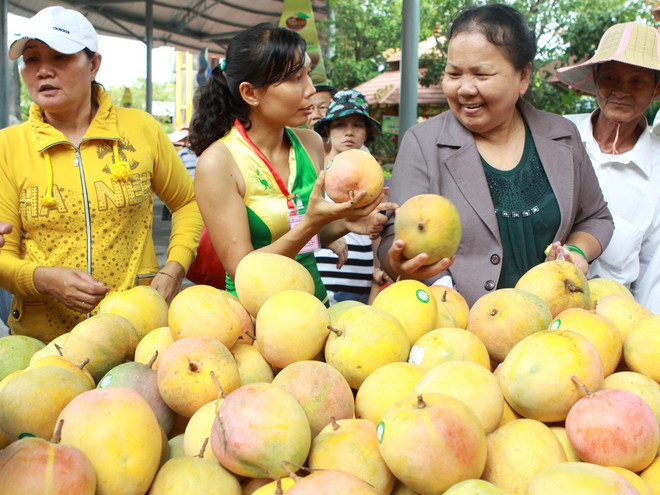 "Trái cây, tôm sẽ là ngành hàng nông nghiệp nổi lên trong năm 2017" ảnh 1