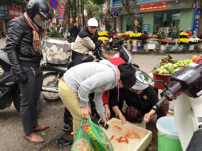 Tiểu thương bán cá chép đỏ dửng dưng 'hét giá'' ngày ông Công, ông Táo ảnh 7