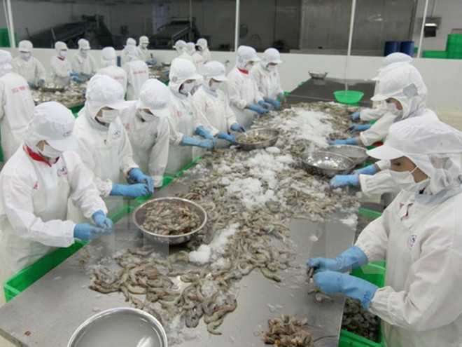 Dẹp vấn nạn bơm nước vào lợn, trâu, bò và hóa chất trong tôm ảnh 2