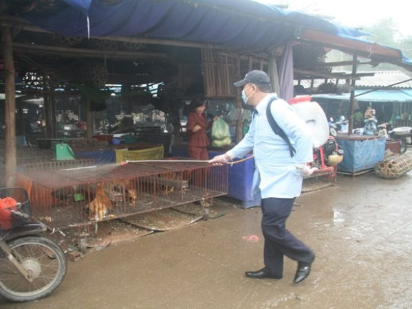 Triển khai tháng vệ sinh, tiêu độc khử trùng phòng dịch cúm gia cầm ảnh 1