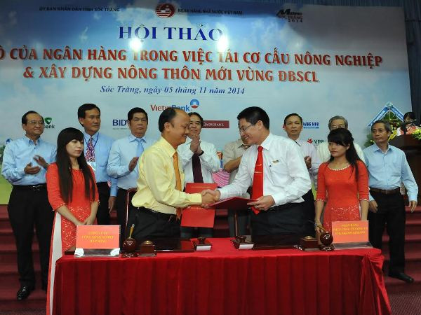 Đáp ứng tối đa nhu cầu vốn tại vùng Đồng bằng sông Cửu Long ảnh 2