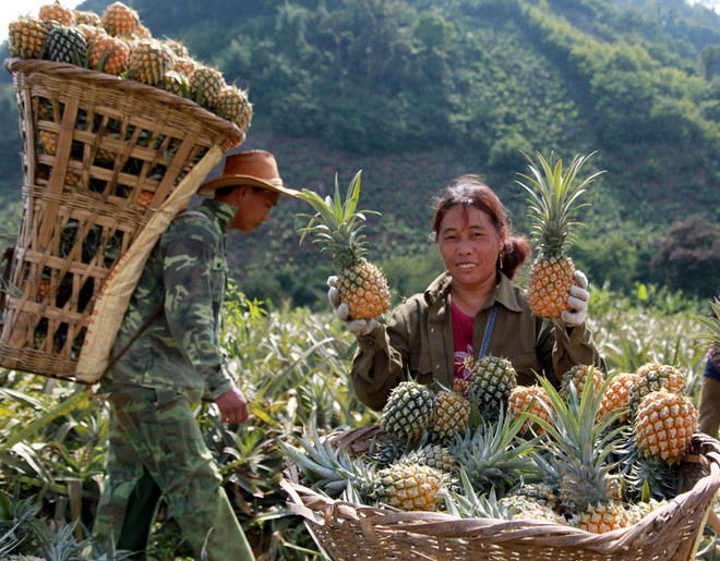 Bài 2: Lan tỏa giá trị từ sự đồng tâm đưa hộ nghèo phát triển ảnh 2