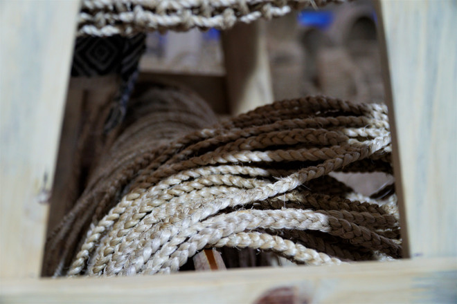 Khánh thành Hợp tác xã sản xuất sợi chuối đầu tiên tại Việt Nam ảnh 6