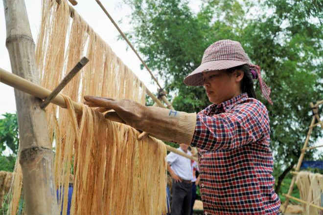 Khánh thành Hợp tác xã sản xuất sợi chuối đầu tiên tại Việt Nam ảnh 4