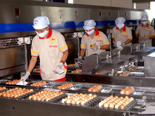 Chốt hạn ngạch nhập khẩu đường, muối và trứng gia cầm vào Việt Nam ảnh 1