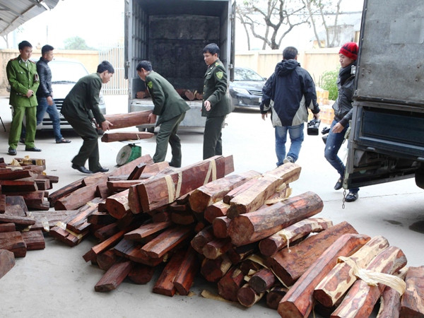 Tạm dừng cấp giấy phép nhập khẩu gỗ trắc vào Việt Nam ảnh 1