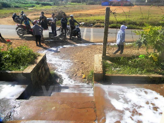 Cục Chăn nuôi phản hồi sau thông tin người dân đổ sữa ra đường ảnh 2