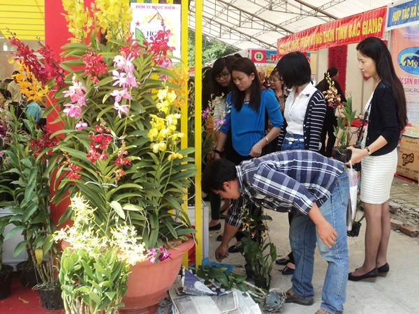 Hội chợ Xuân Giảng Võ 2015: Nổi bật với những “sản vật tiến vua” ảnh 1