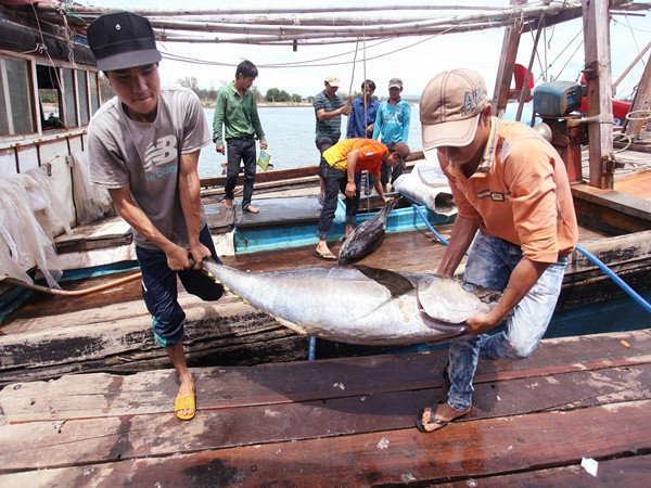 Sản lượng thủy sản cả nước tăng dù thời tiết nhiều bất lợi ảnh 1
