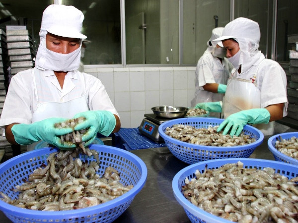 Kim ngạch xuất khẩu nông, lâm, thủy sản tháng Một giảm gần 14% ảnh 1