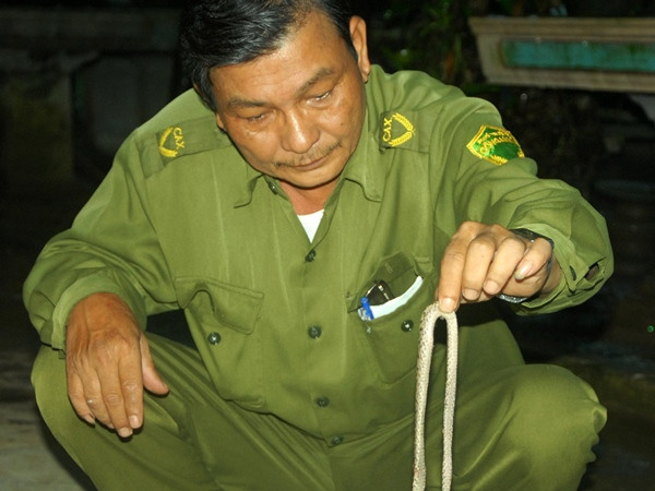 Khẩn trương triển khai biện pháp phòng tránh rắn lục đuôi đỏ ảnh 1