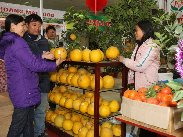 Hội chợ Xuân Ất Mùi 2015, nơi hội tụ hương vị Xuân đất Việt ảnh 1