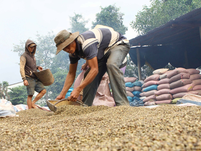 Giá trị xuất khẩu nông, lâm, thủy sản đồng loạt giảm trong tháng 11 ảnh 1