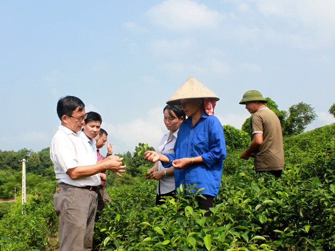 May “áo giáp” cho nông dân trước “cơn bão” thị trường ảnh 1