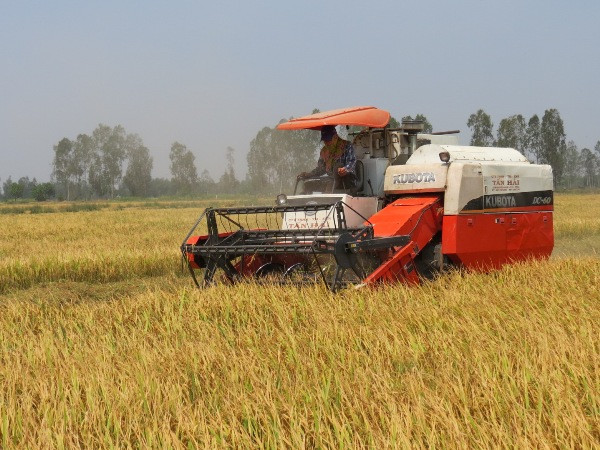 Cho vay hỗ trợ để giảm tổn thất trong nông nghiệp theo Quyết định 68 ảnh 1