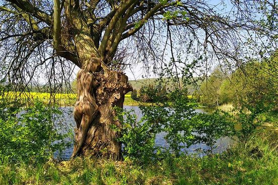 Nghệ sĩ Đức gây sốc với các màn ngụy trang bằng cách vẽ trên cơ thể ảnh 3