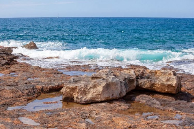 Nghệ sĩ Đức gây sốc với các màn ngụy trang bằng cách vẽ trên cơ thể ảnh 5