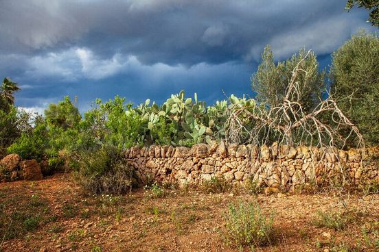 Nghệ sĩ Đức gây sốc với các màn ngụy trang bằng cách vẽ trên cơ thể ảnh 1