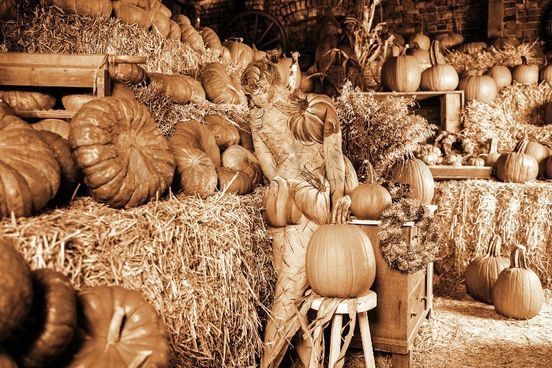 Nghệ sĩ Đức gây sốc với các màn ngụy trang bằng cách vẽ trên cơ thể ảnh 2