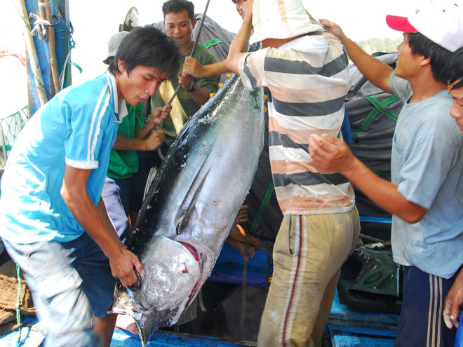 Xuất khẩu gạo tăng gấp đôi và thủy sản lấy được đà tăng trưởng ảnh 1