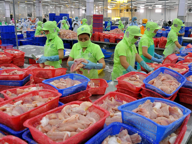 Thu hút đầu tư nông nghiệp: Bao giờ ra khỏi vòng luẩn quẩn? ảnh 1