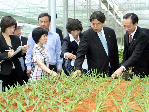 Cho vay đầu tư nông nghiệp công nghệ cao: Vẫn nỗi lo rủi ro ảnh 2