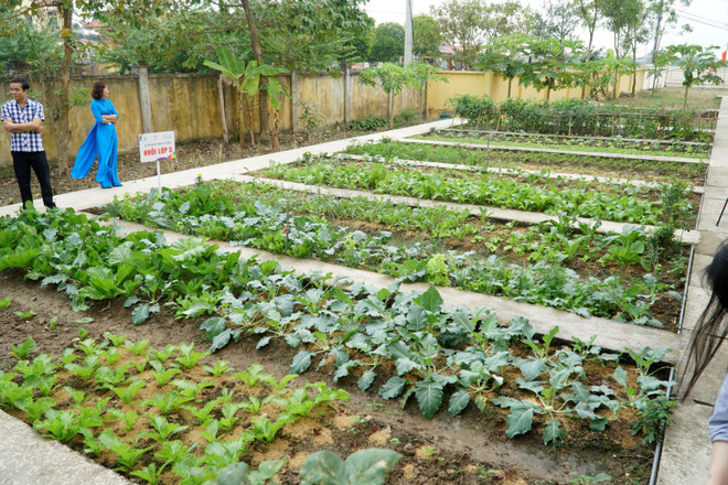 300 học sinh Hưng Yên hào hứng tìm hiểu kiến thức dinh dưỡng học đường ảnh 6