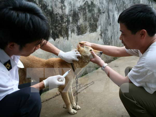 Hỗ trợ tỉnh Bắc Kạn 5.000 lít hóa chất phòng chống bệnh dại ảnh 1