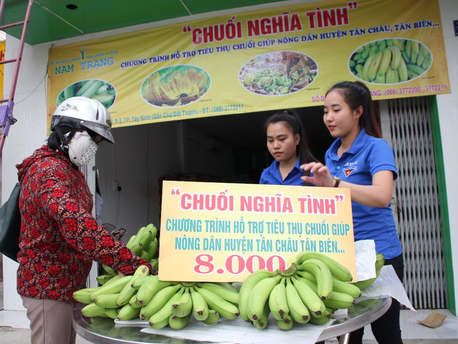 "Điệp khúc được mùa-mất giá": Nghịch lý của nông sản Việt Nam ảnh 3