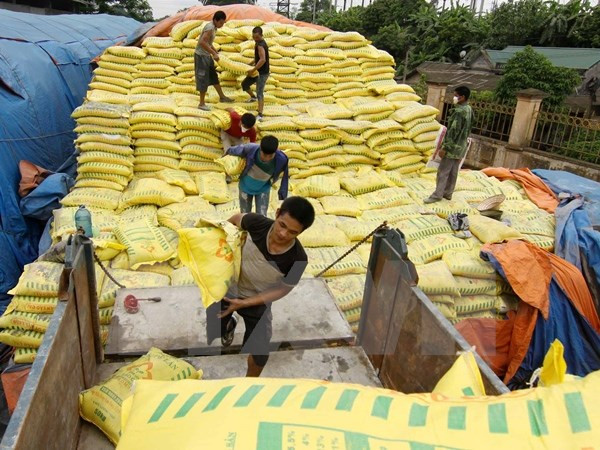 Gắn trách nhiệm địa phương trong dự thảo Nghị định mới về phân bón ảnh 1