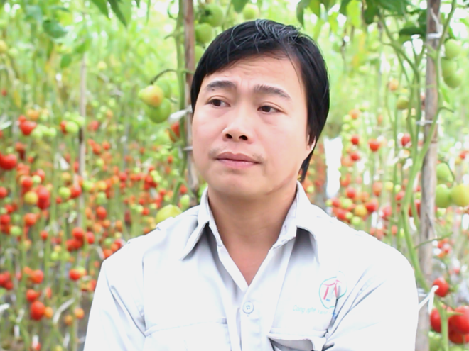 Ứng dụng nông nghiệp công nghệ cao: Thoát nỗi lo được mùa-mất giá ảnh 2