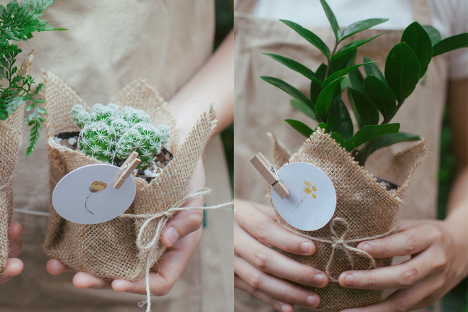 Những món quà "tinh thần" như cây cảnh hay một buổi xem phim cũng thể hiện được tình cảm của người tặng. (Ảnh: nothgarden) Lựa chọn quà tặng gì cho Ngày Phụ nữ Việt Nam 20/10? ảnh 4