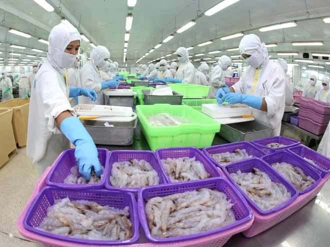 Ngưng cấp chứng thư cho các lô hàng thủy sản bị EU cảnh báo ảnh 1
