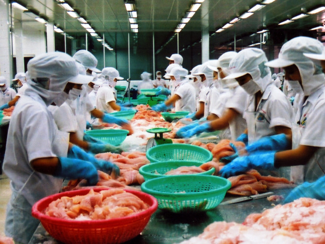 17 cơ sở chế biến thủy sản được xuất khẩu vào Panama ảnh 1