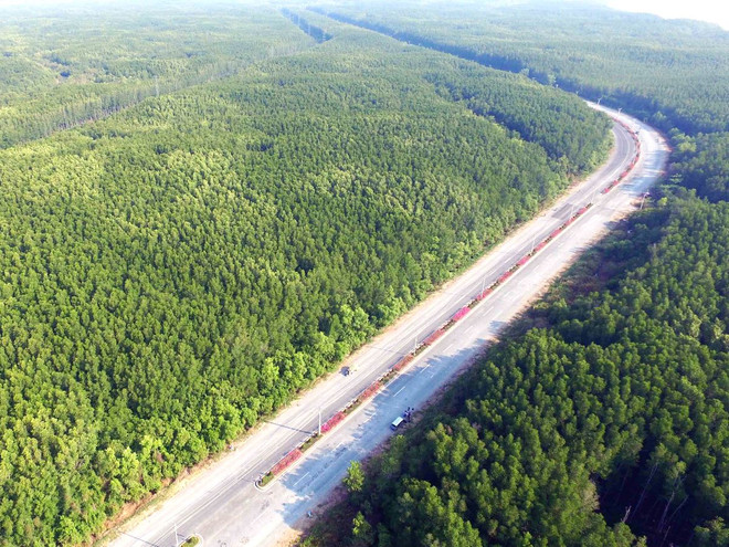 Toàn quốc có khoảng 14 triệu hécta rừng, độ che phủ đạt gần 41% ảnh 1