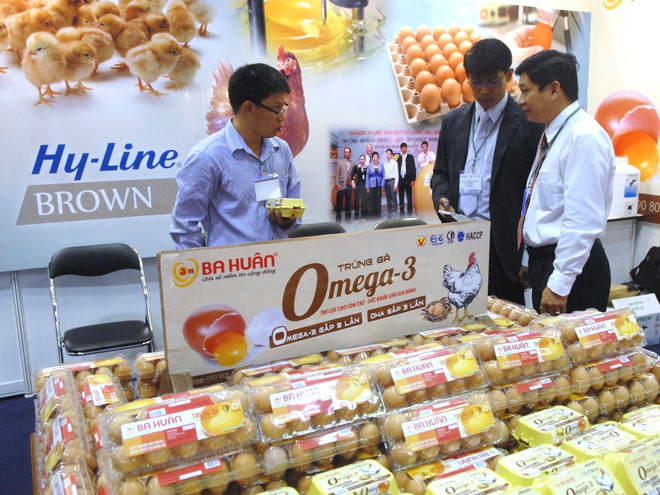 VIETSTOCK 2016 với chủ đề nâng cao an toàn thực phẩm trong chăn nuôi ảnh 1