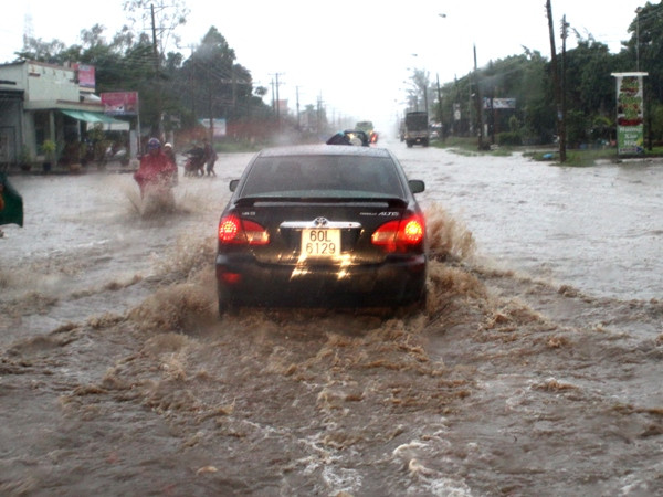 MIGA bảo lãnh 500 triệu USD để nâng cấp quốc lộ 20 ảnh 1