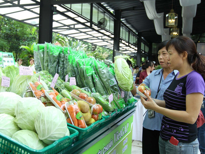 Xuất khẩu rau quả bứt phá hướng tới mục tiêu 2,6 tỷ USD trong năm nay ảnh 1