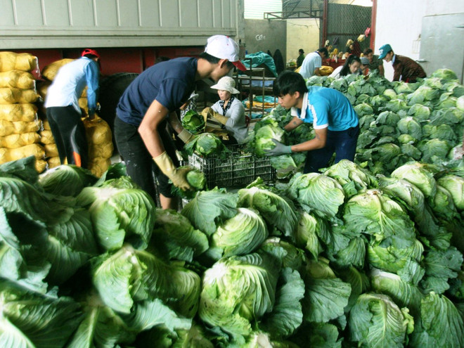 Bộ Nông nghiệp chủ trương lấy chăn nuôi bù đắp cho thâm hụt toàn ngành ảnh 1