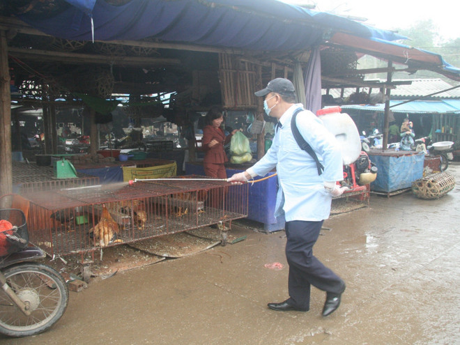 Xuất, cấp hóa chất sát trùng hỗ trợ các tỉnh phòng chống dịch bệnh ảnh 1